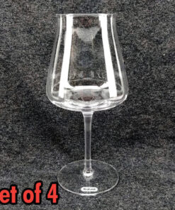 Teku Beer Glass Box of 4 (460ml)